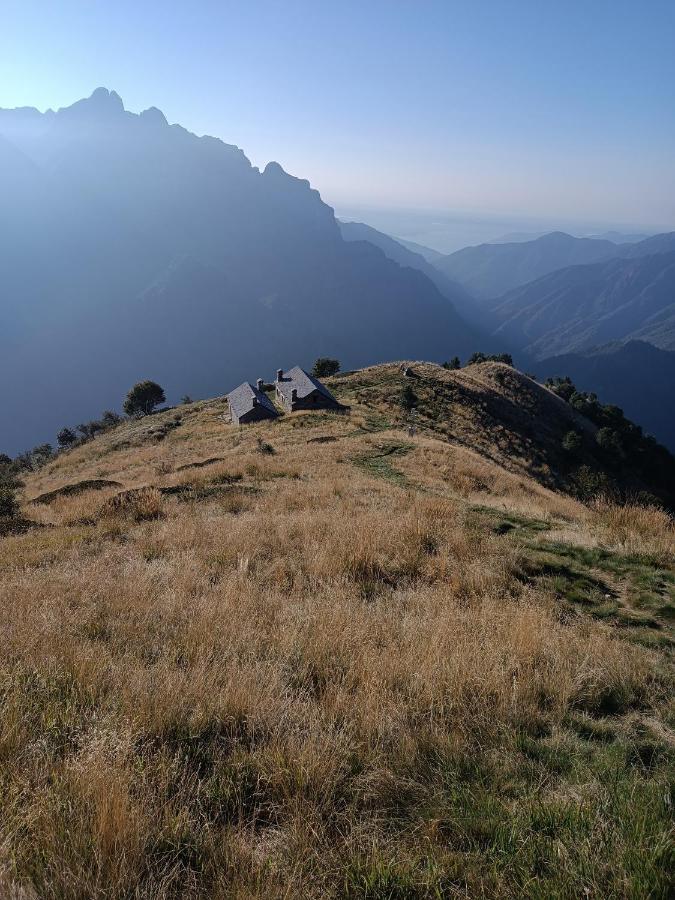 Paradiso Sul Lago Maggiore 巴韦诺 外观 照片
